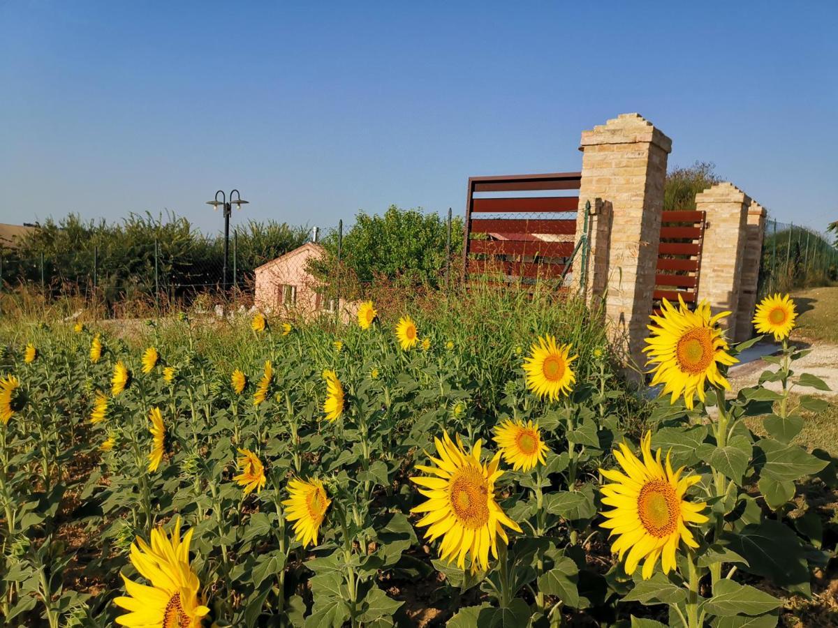 B&B Ceresa - Country House Лорето Екстериор снимка