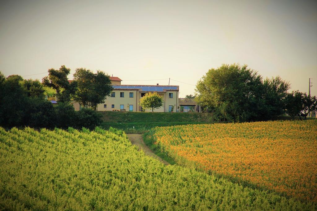 B&B Ceresa - Country House Лорето Екстериор снимка