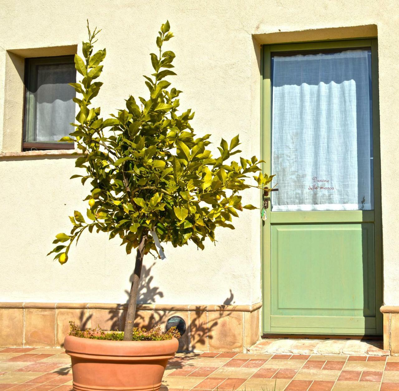B&B Ceresa - Country House Лорето Екстериор снимка